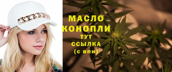 метамфетамин Ельня
