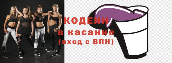дживик Елизово
