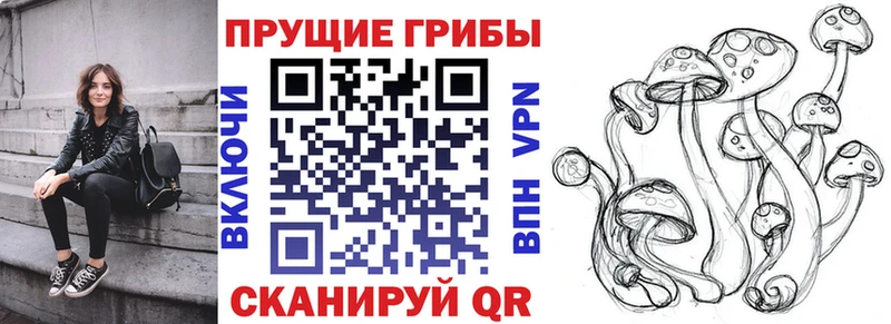 Псилоцибиновые грибы прущие грибы  Купить  Зеленогорск 
